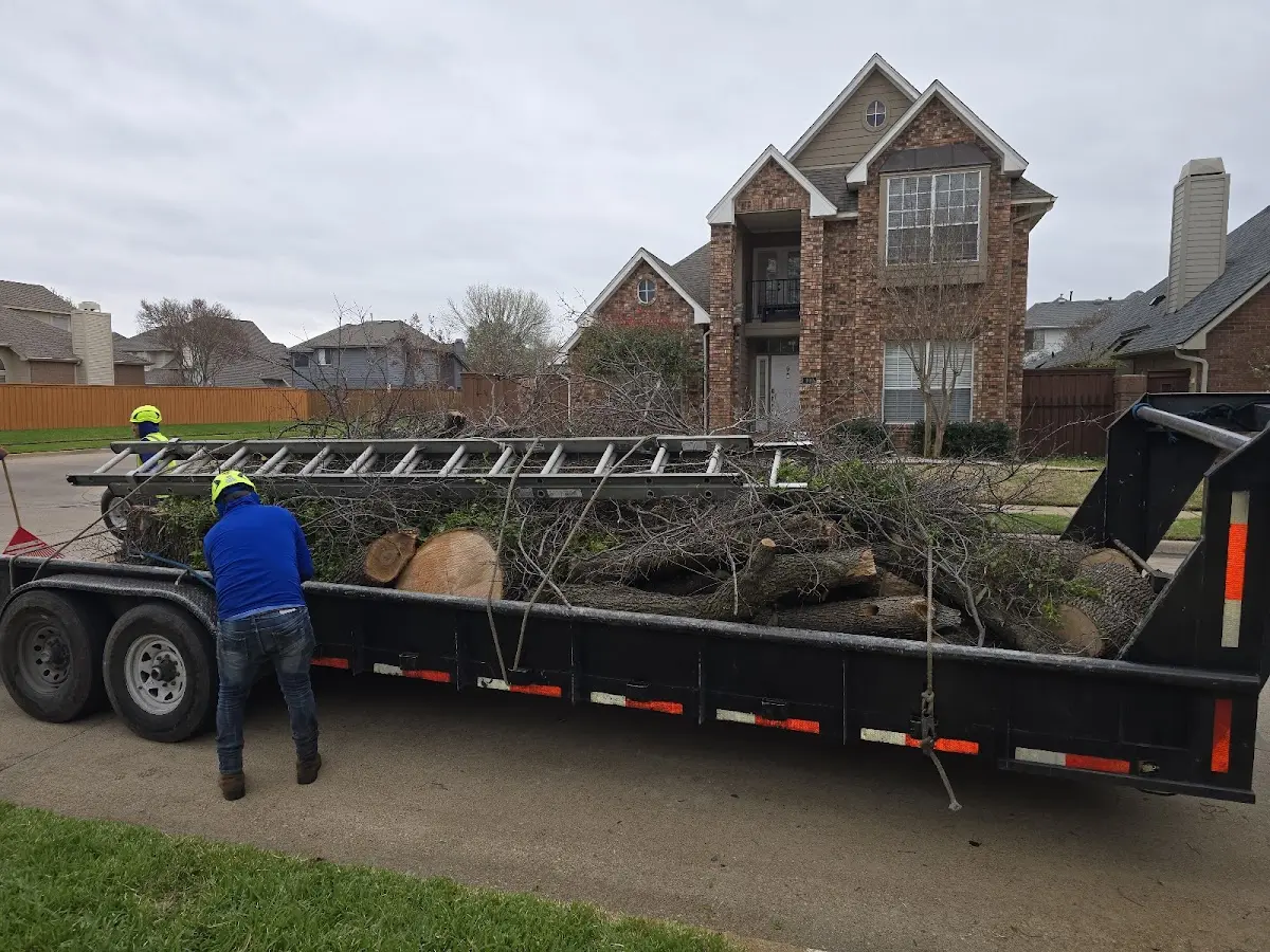 Expert Tree Pest Control with proper safety equipment in Rome City